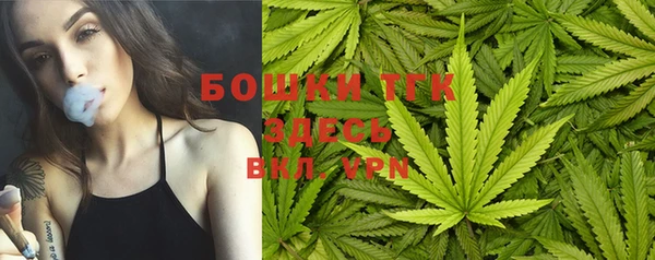индика Абдулино