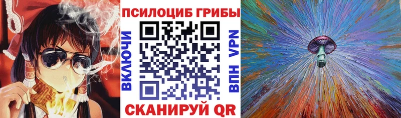 гидра ссылки  дарнет шоп  Сольцы  Псилоцибиновые грибы ЛСД 